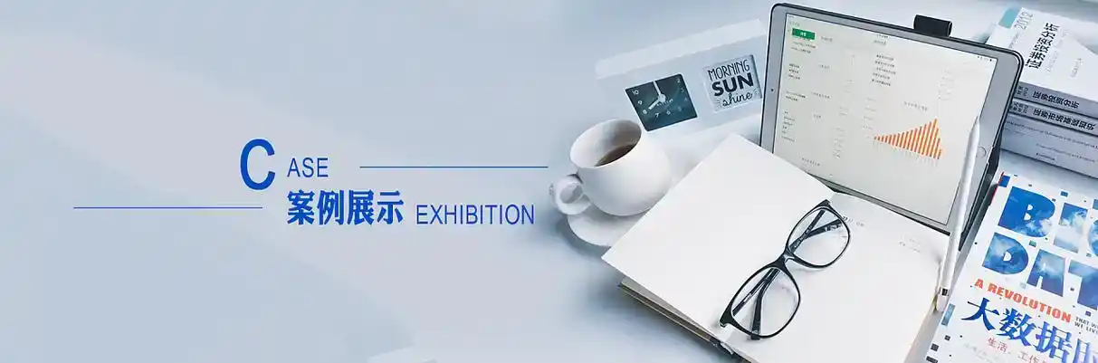 青县软件开发